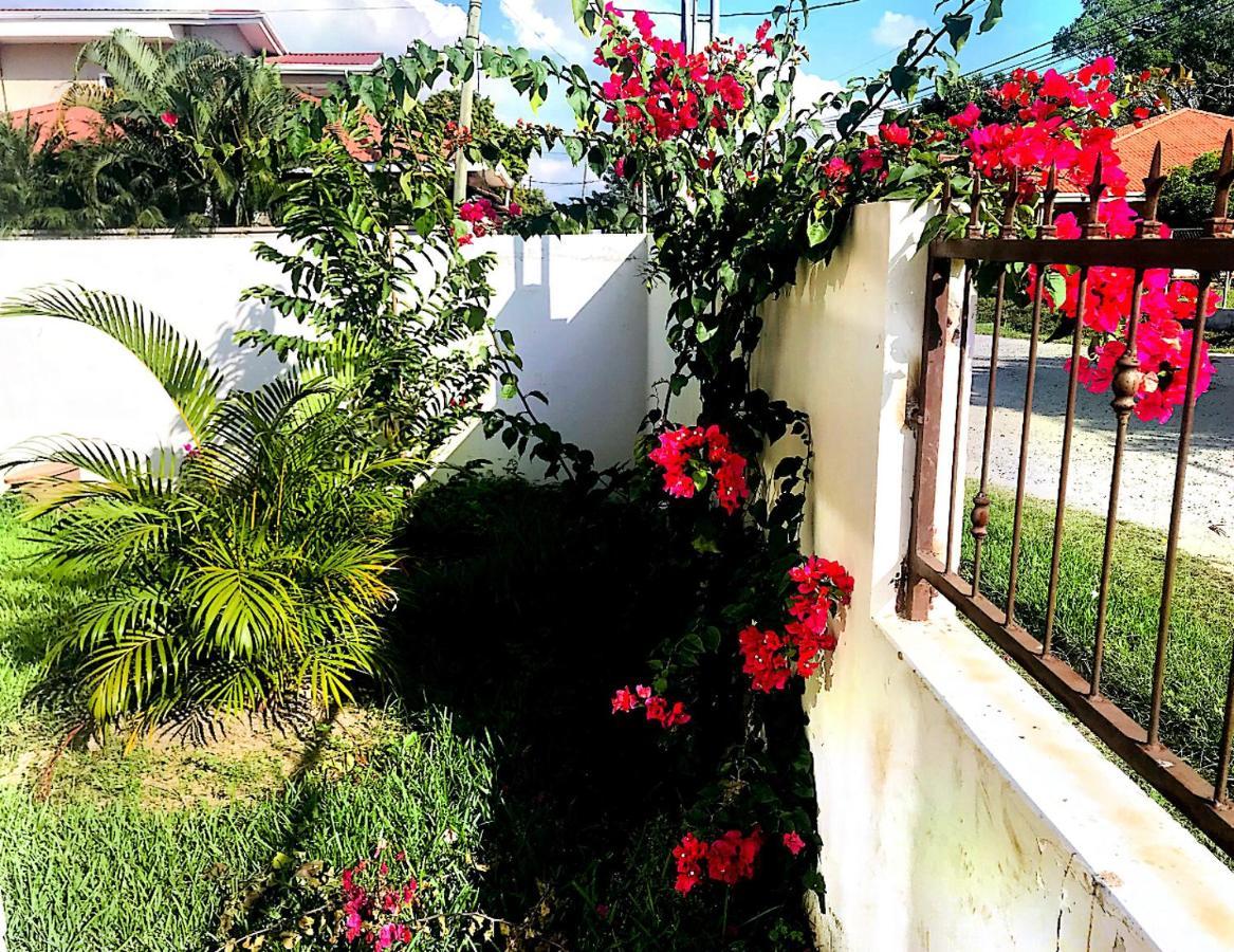 Blue Door Room La Lima Kültér fotó